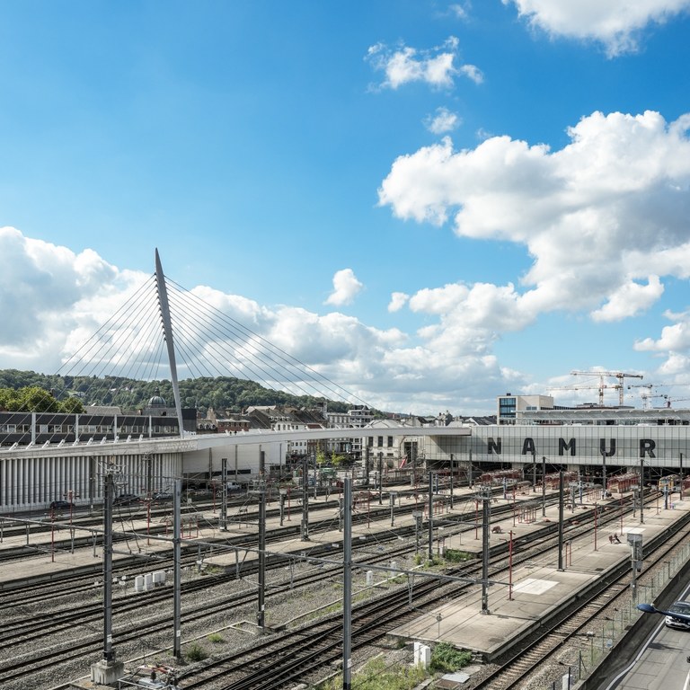 Gare - pont haubané ©Duchene SA